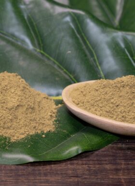 Red Malay Kratom